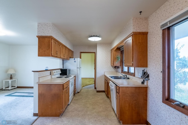 kitchen with light colored carpet, sink, white appliances, and a wealth of natural light