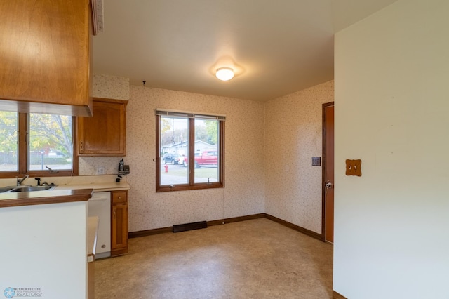 kitchen with sink and dishwasher