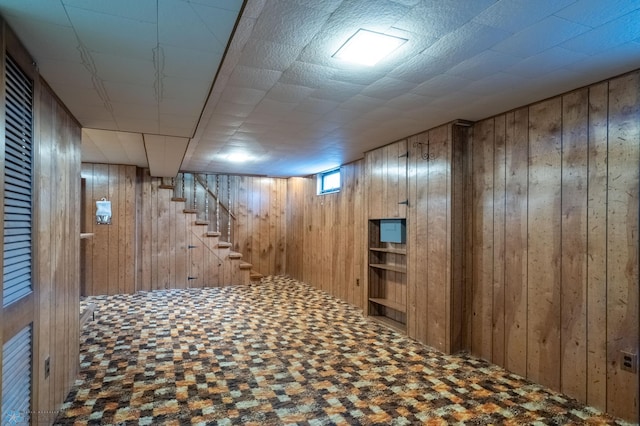 basement with wooden walls