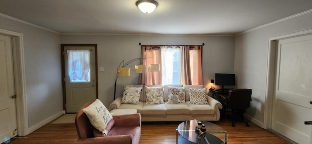 living room with crown molding and wood-type flooring