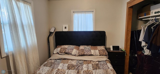 bedroom featuring a closet and multiple windows