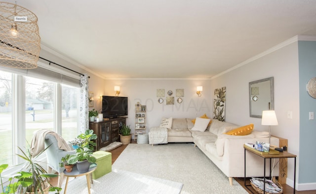 living room featuring crown molding and hardwood / wood-style floors