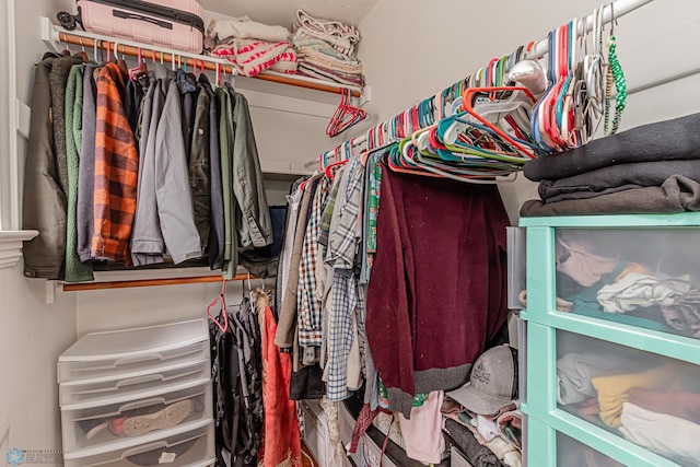 view of spacious closet