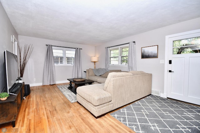 living room featuring wood-type flooring and a textured ceiling