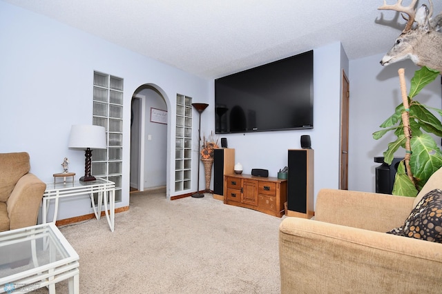 living room featuring a textured ceiling and carpet