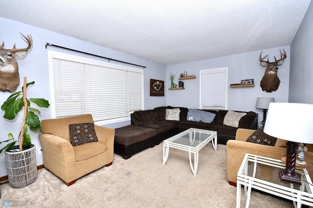 living room featuring carpet flooring and a textured ceiling