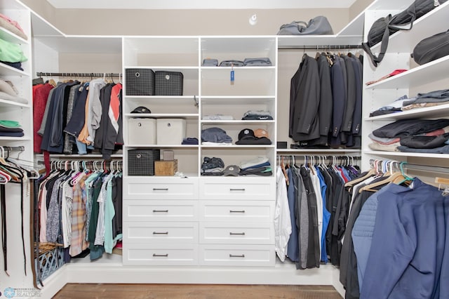 spacious closet with hardwood / wood-style flooring