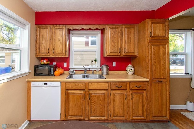 kitchen with white dishwasher, sink, and plenty of natural light