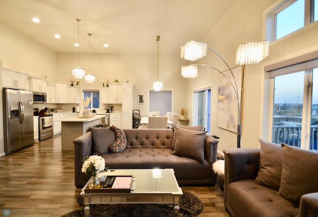 living room featuring a towering ceiling and dark hardwood / wood-style flooring