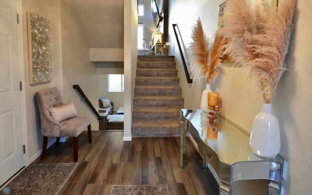 interior space featuring dark hardwood / wood-style floors