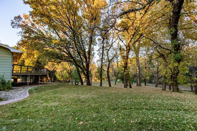 view of yard featuring a wooden deck