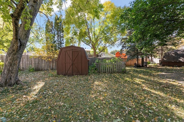 view of yard with a shed