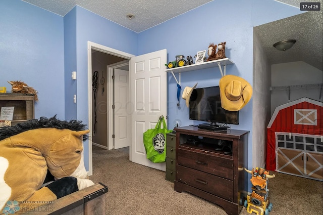 interior space featuring lofted ceiling, carpet, and a textured ceiling