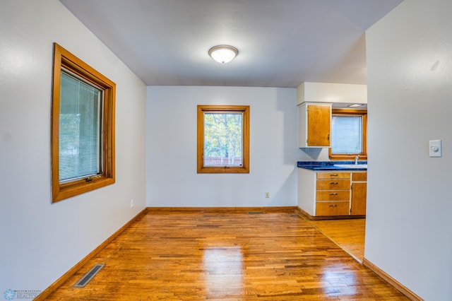 interior space with sink and light wood-type flooring