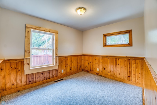 empty room featuring wooden walls and carpet