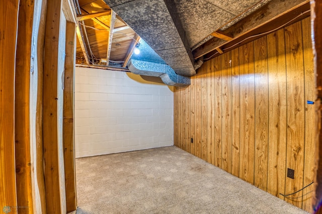 basement with carpet flooring