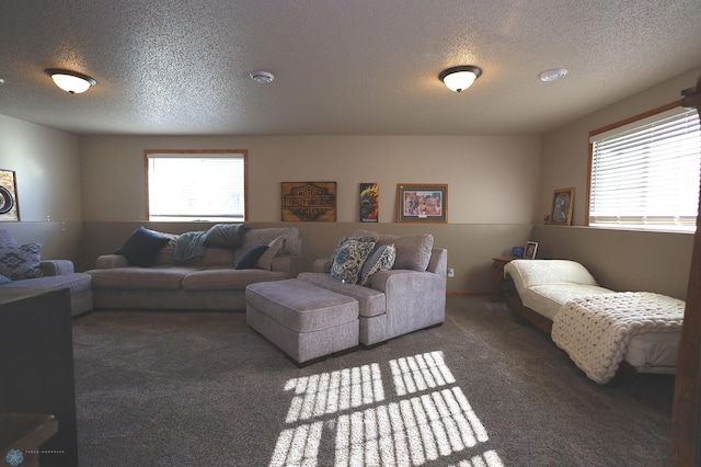 carpeted living room with a textured ceiling and a healthy amount of sunlight