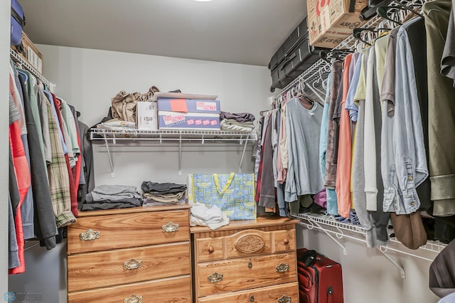 view of walk in closet