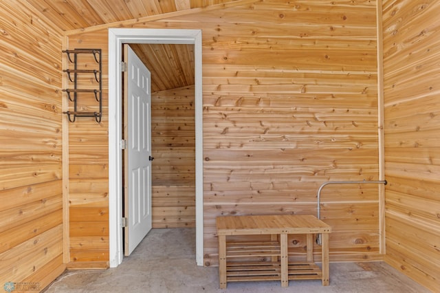 view of sauna / steam room featuring wooden walls and wooden ceiling