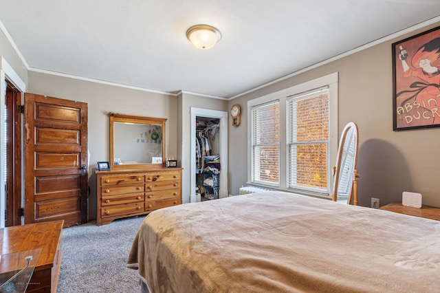 carpeted bedroom with a spacious closet, ornamental molding, and a closet