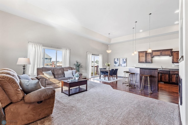 living room featuring sink, dark wood-type flooring, and a high ceiling