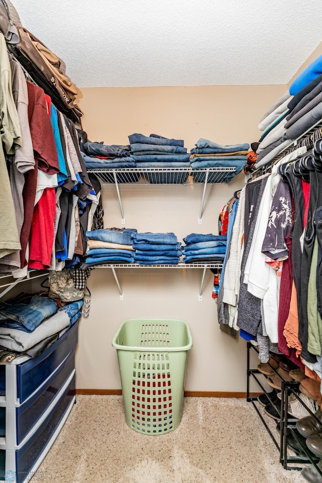 view of spacious closet