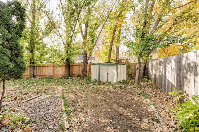 view of yard featuring a storage shed