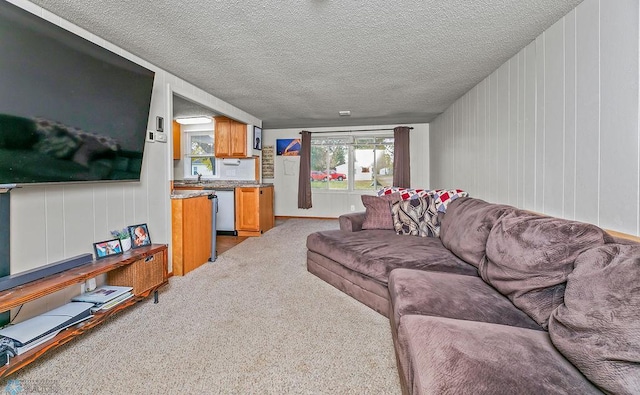 carpeted living room featuring a textured ceiling