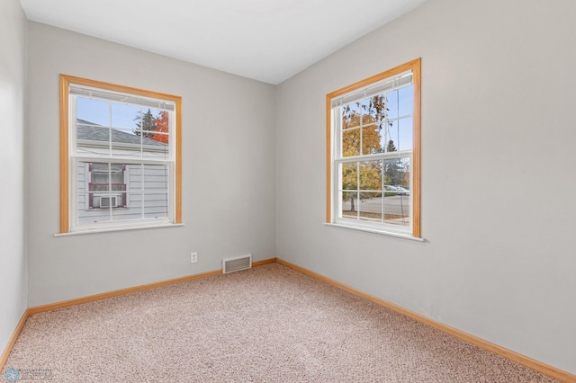 carpeted spare room featuring a wealth of natural light