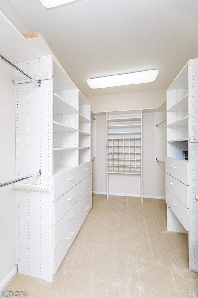 spacious closet featuring light colored carpet