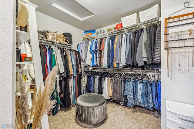 walk in closet with carpet