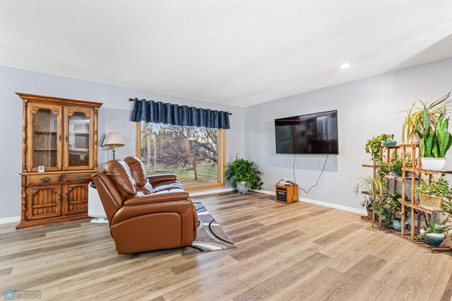 living room with light hardwood / wood-style flooring and a textured ceiling