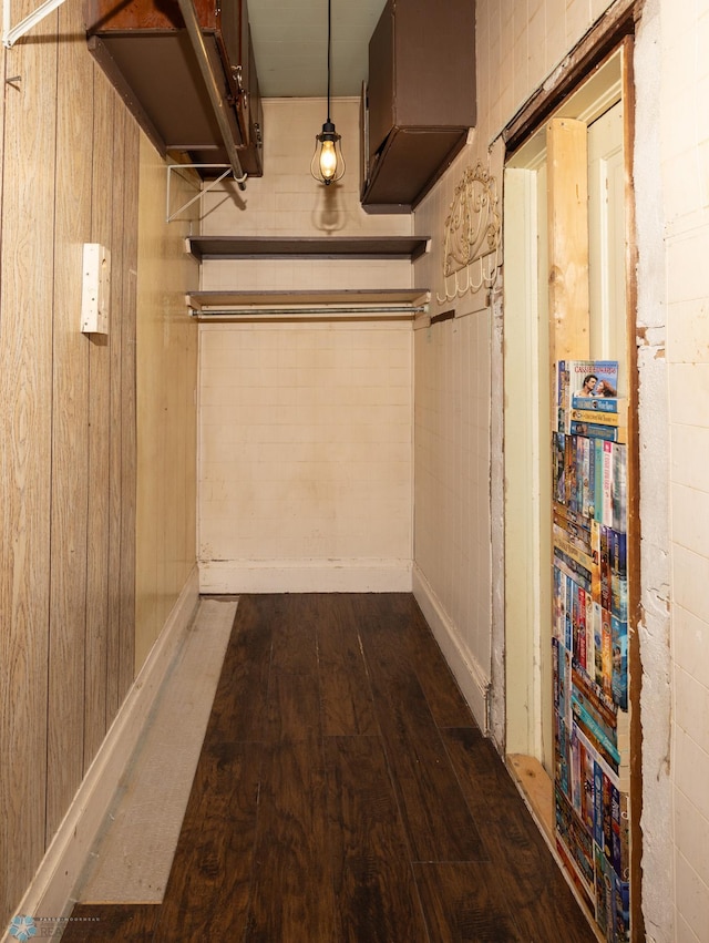 spacious closet featuring dark wood-type flooring