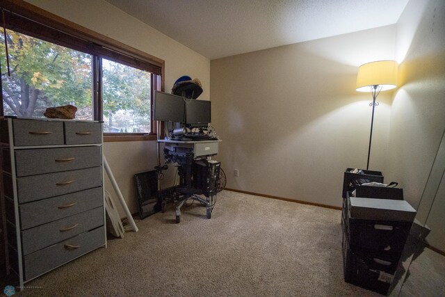 office area with light carpet