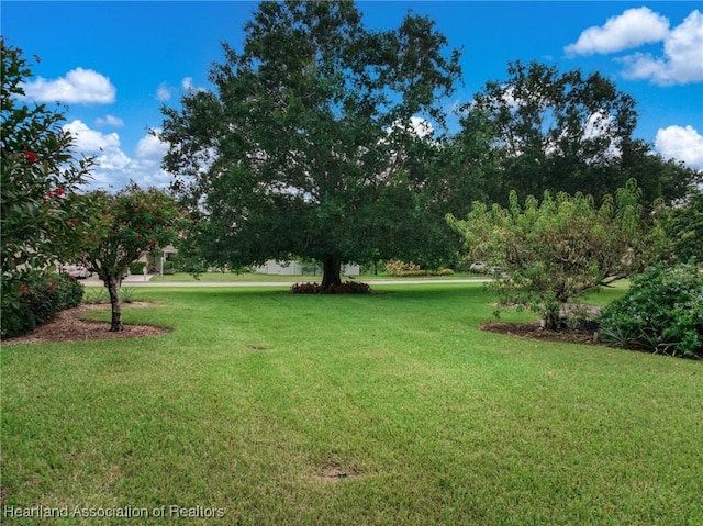 714 S Sun Blvd N, Lake Placid, FL 33852 - photo 9