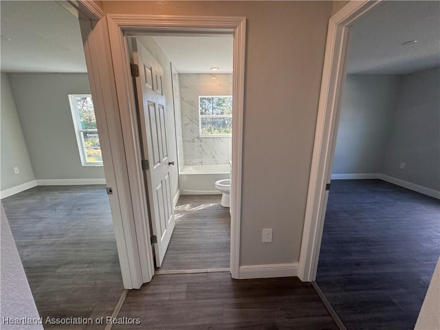 corridor featuring dark hardwood / wood-style flooring and a wealth of natural light