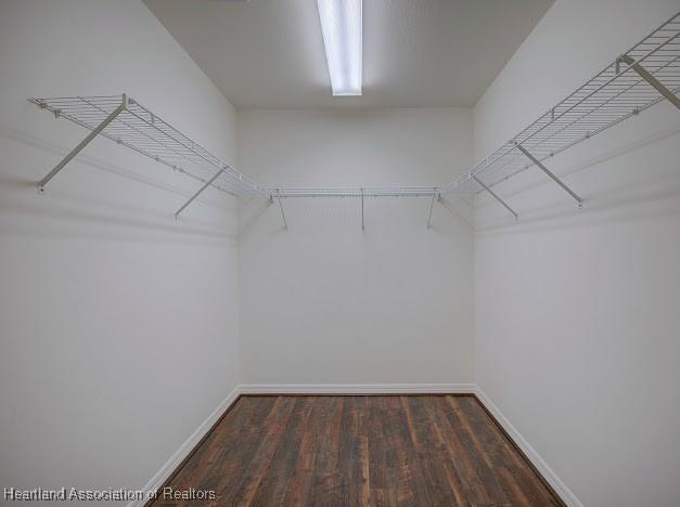 walk in closet with wood finished floors