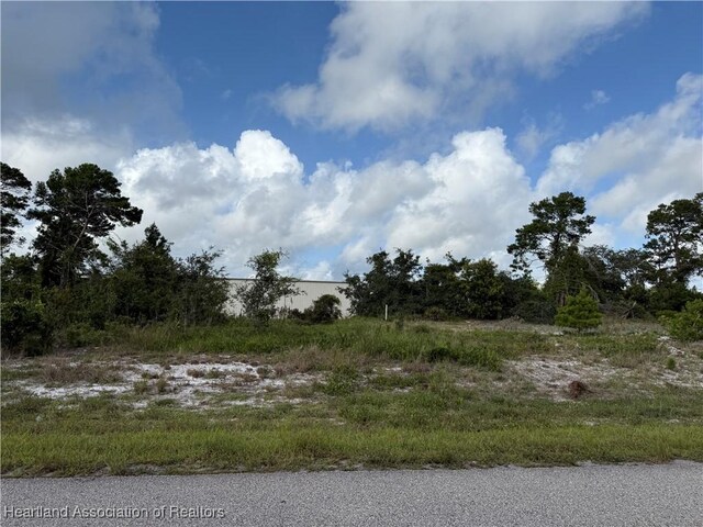 1177 Columbus St, Lake Placid, FL 33852 - photo 1