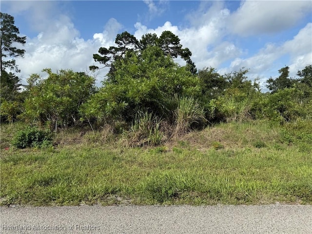 1177 Columbus St, Lake Placid, FL 33852 - photo 3