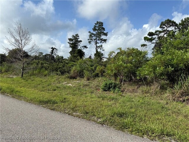1177 Columbus St, Lake Placid, FL 33852 - photo 2