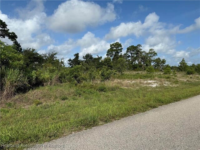 1177 Columbus St, Lake Placid, FL 33852 - photo 4