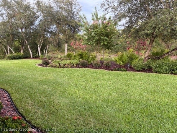 3929 Puma Dr, Avon Park, FL 33825 - view of green lawn