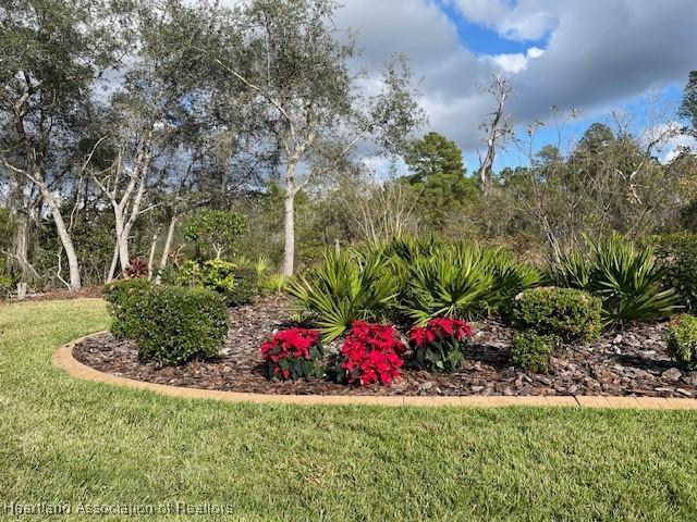 3929 Puma Dr, Avon Park, FL 33825 - view of green lawn