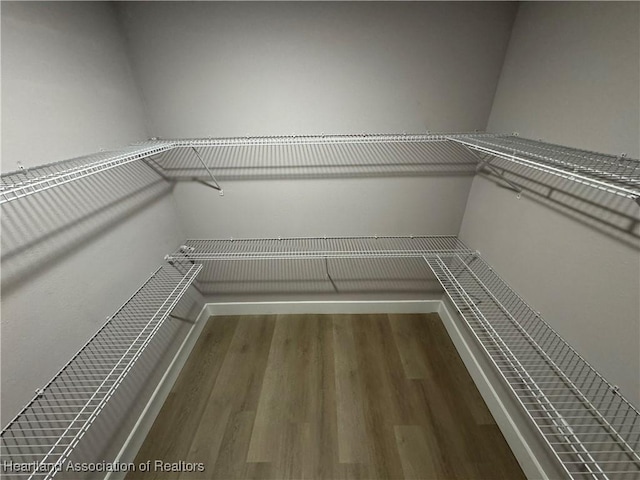 spacious closet with hardwood / wood-style flooring