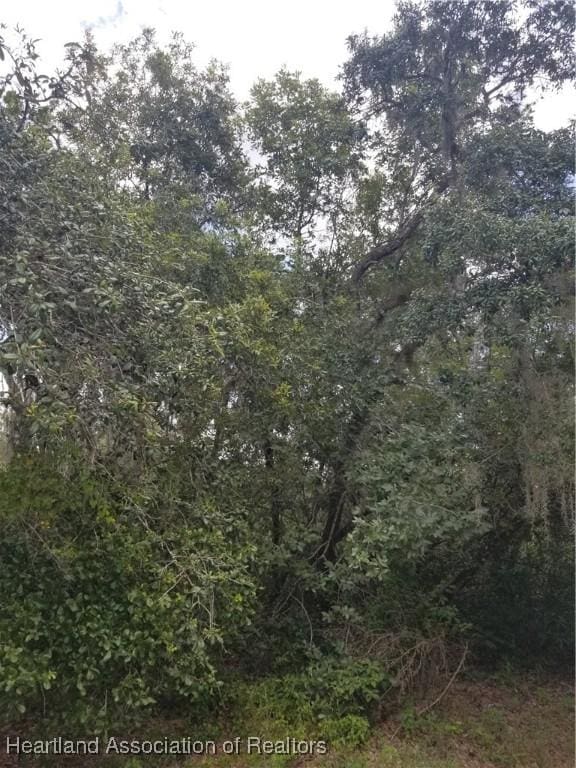1216 Cacao Rd, Lake Placid, FL 33852 - photo 3