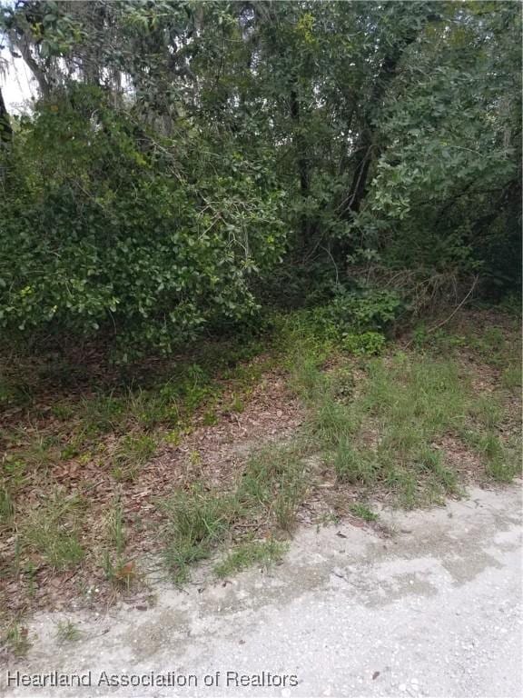 1216 Cacao Rd, Lake Placid, FL 33852 - photo 4