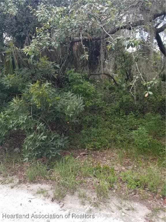1216 Cacao Rd, Lake Placid, FL 33852 - photo 2