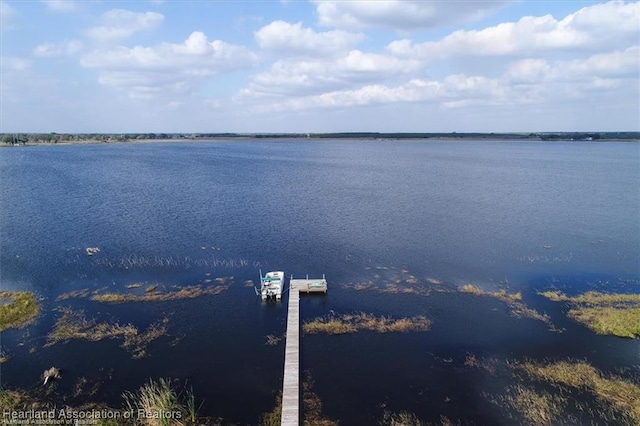 water view featuring a dock