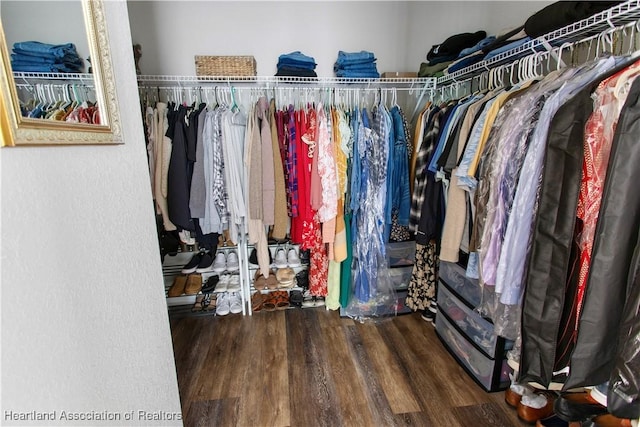 spacious closet with hardwood / wood-style flooring