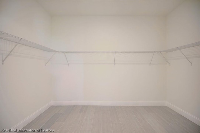 spacious closet featuring light wood-type flooring